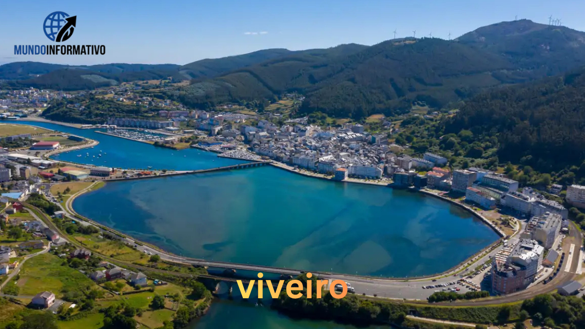 miguel barroso viveiro